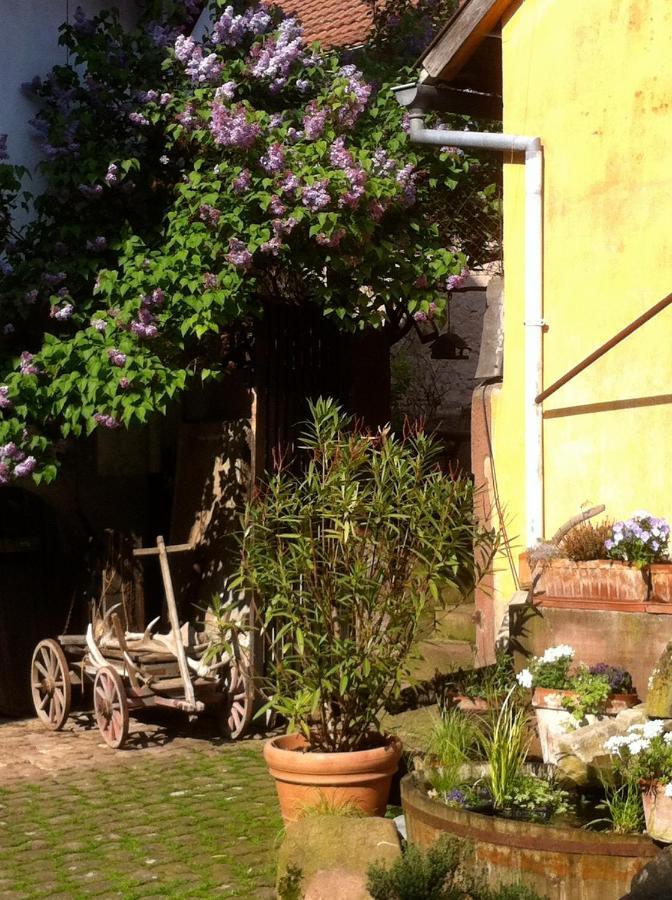 La Maison De Caroline Westhoffen Bagian luar foto