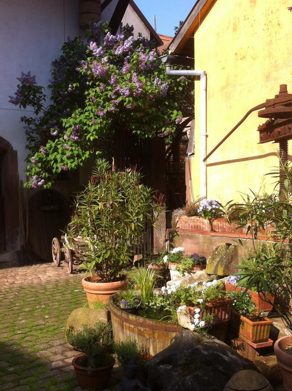 La Maison De Caroline Westhoffen Bagian luar foto